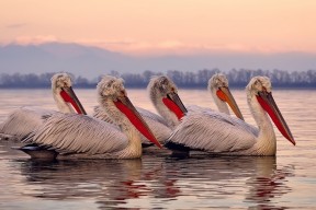 华体会hth-姆巴佩关键先生助新西兰一波带走比利亚雷亚尔，友谊赛上演惊天逆转