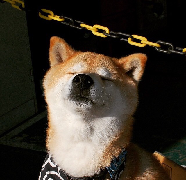 华体会体育-东决烽火映北非,突尼斯黄金一代的篮球与足球双重奏 第2张 华体会体育-东决烽火映北非,突尼斯黄金一代的篮球与足球双重奏 第2张