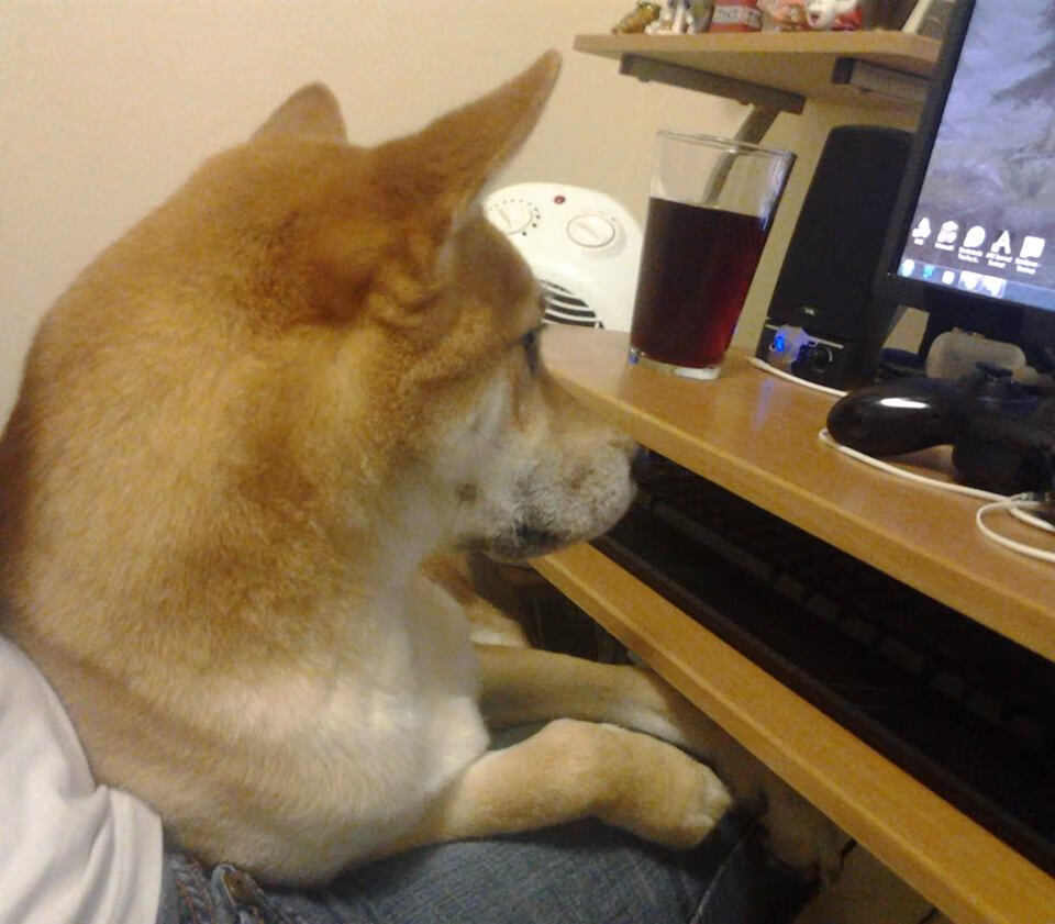 华体会下载-龙魂与猛兽，当爱德华兹的星辰照亮东方赛场  第1张